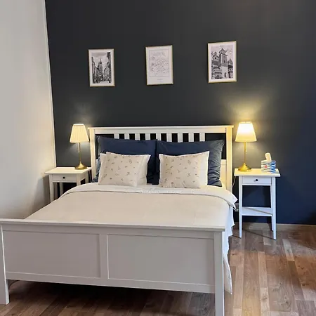 Lejlighed Topolova - Stare Miasto, 10 Min Od Rynku Kraków