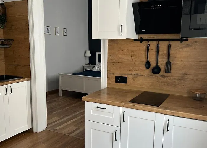 Topolova - Stare Miasto, 10 Min Od Rynku